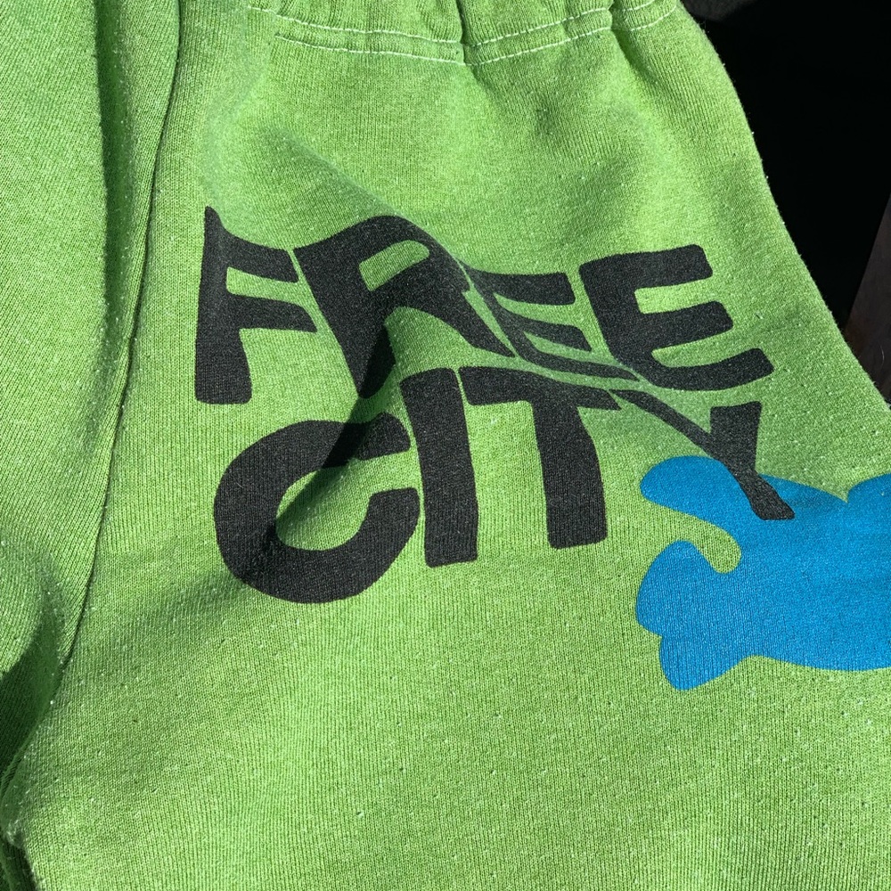 Free people sweat pants